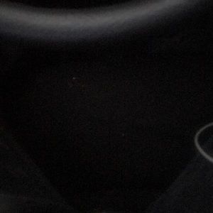 Meet your Posher, Wayne